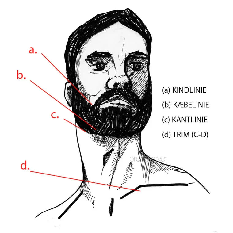 Illustration af skægtrimning med markering af kindlinje, kæbelinje, kantlinje og trimområde – guide til korrekt skægpleje og grooming.