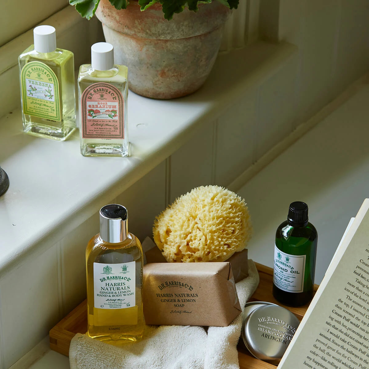 Almond Oil, 100 ml.