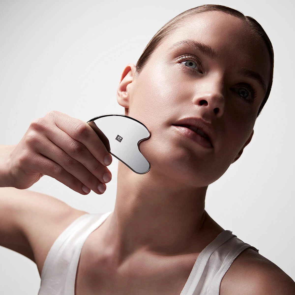 Facial Massager, Stainless Steel