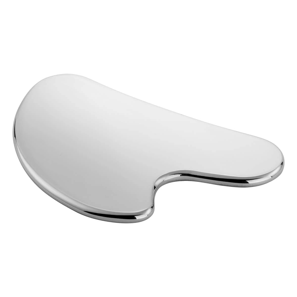 Facial Massager, Stainless Steel