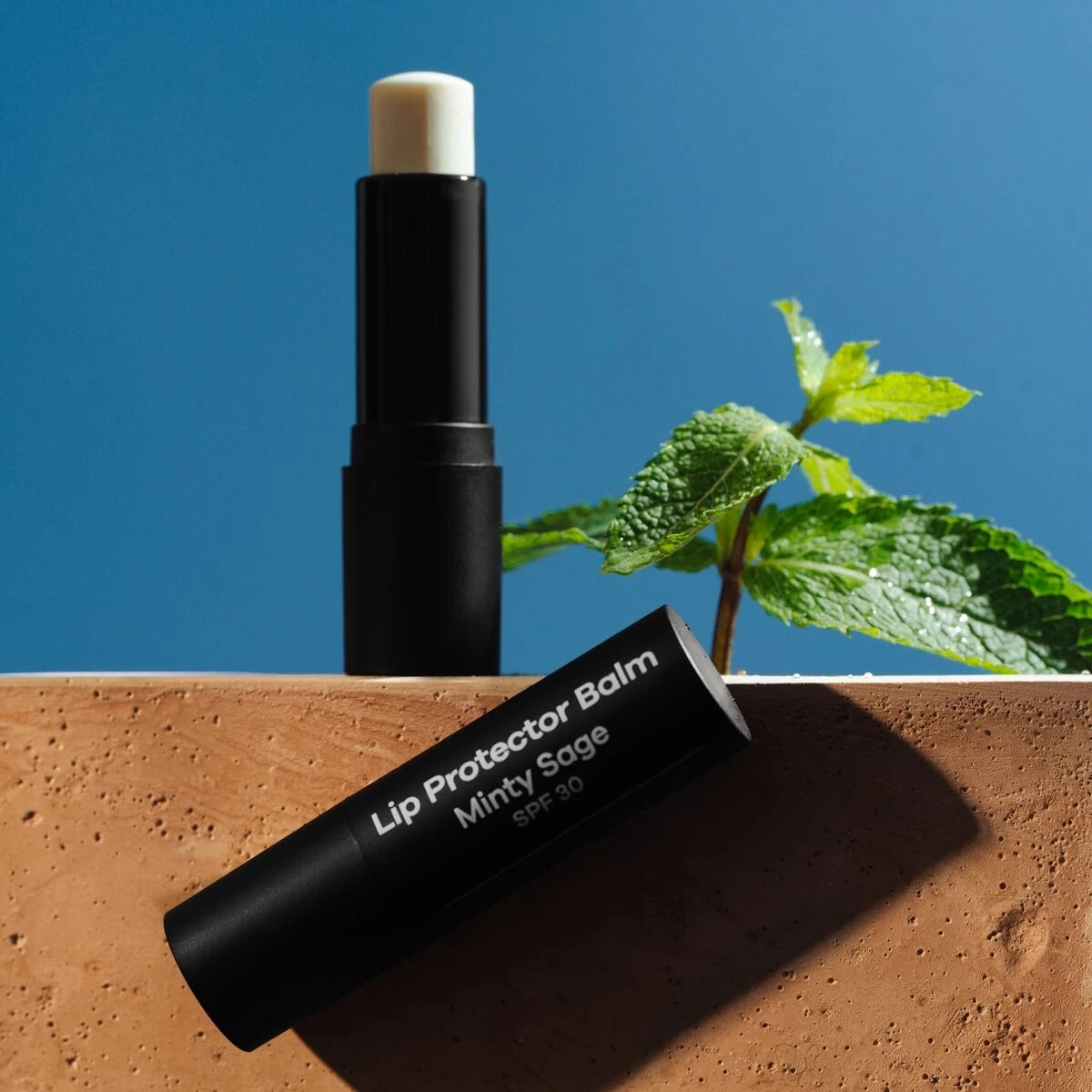 Lip Protector Balm, SPF 30, Minty Sage, 4.2 gr.