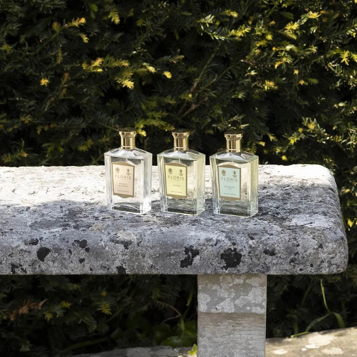 Cefiro, Eau de Toilette, 100 ml.